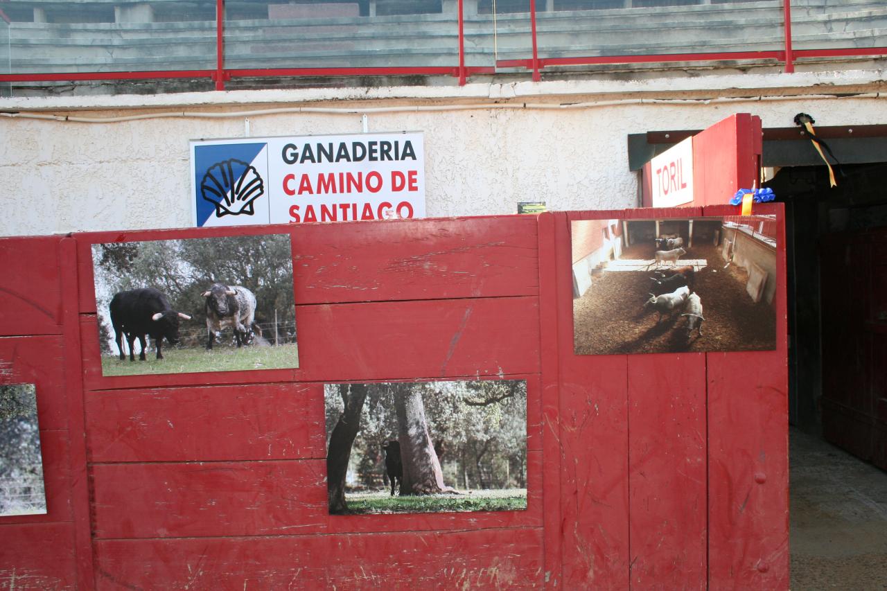 ATELIER DECOUVERTE DE LA CORRIDA