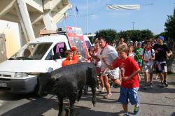 fetes-2013-227.jpg
