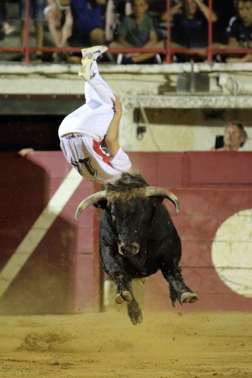 Recortadores pro tour vieux boucau 21 08 17 2017 william lucas 54