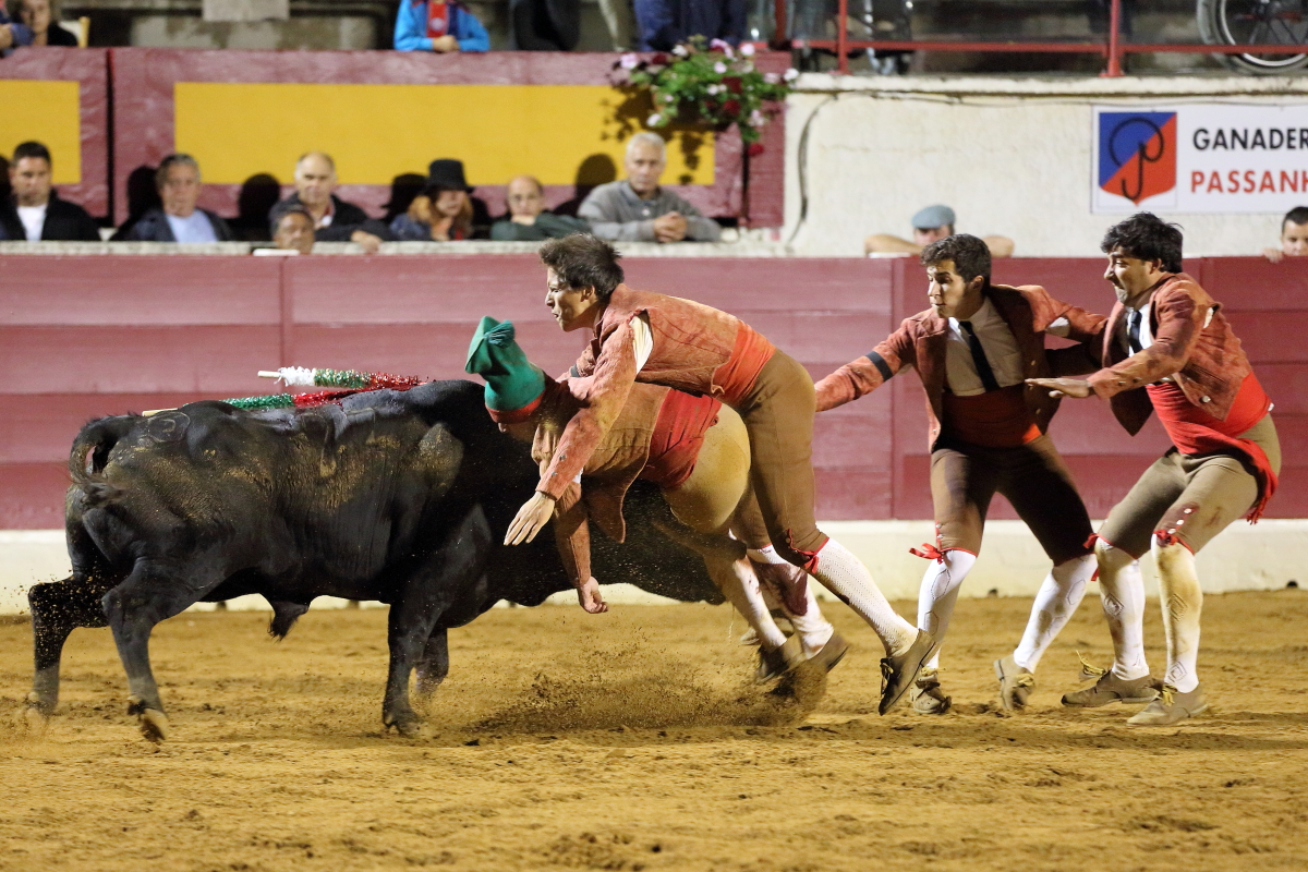 3°toro Luis Roxinol Jr 2014©William LUCAS (10) 2014©William LUCAS