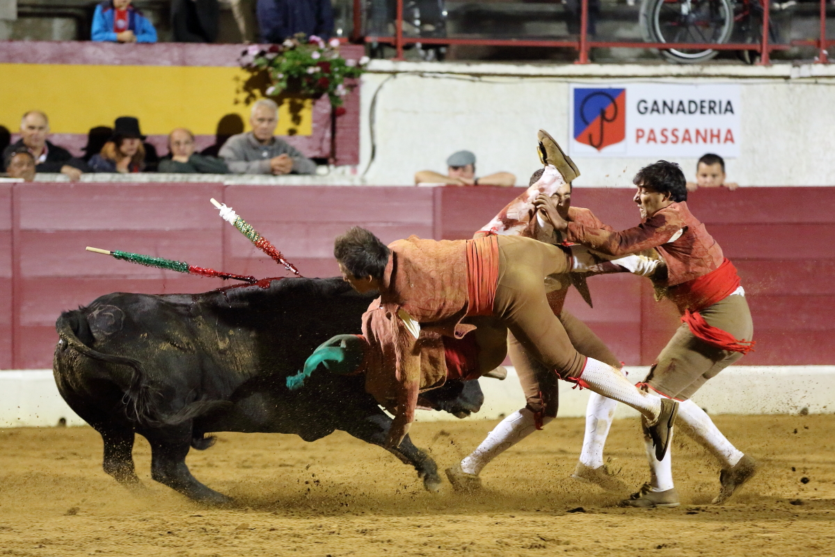3°toro Luis Roxinol Jr 2014©William LUCAS (11) 2014©William LUCAS