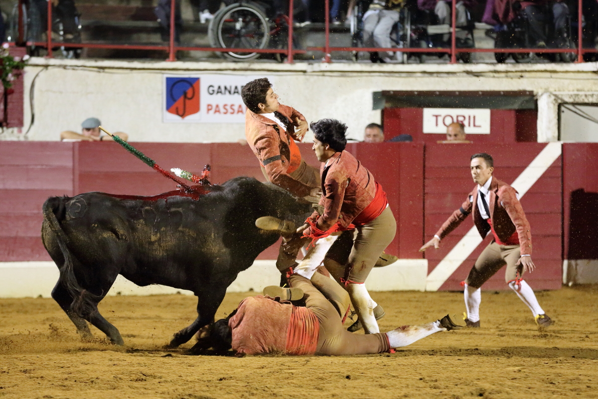 3°toro Luis Roxinol Jr 2014©William LUCAS (12) 2014©William LUCAS