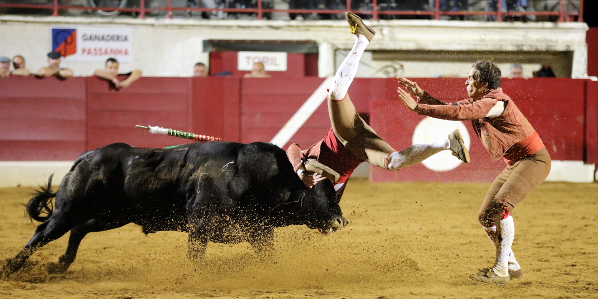 3°toro Luis Roxinol Jr 2014©William LUCAS (9) 2014©William LUCAS