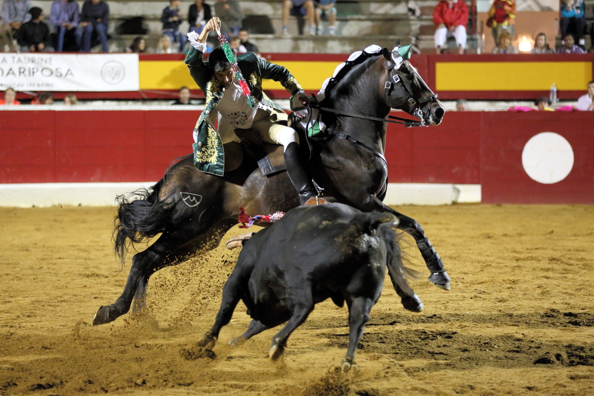 4°toro Luis Roxinol 2014©William LUCAS (1) 2014©William LUCAS
