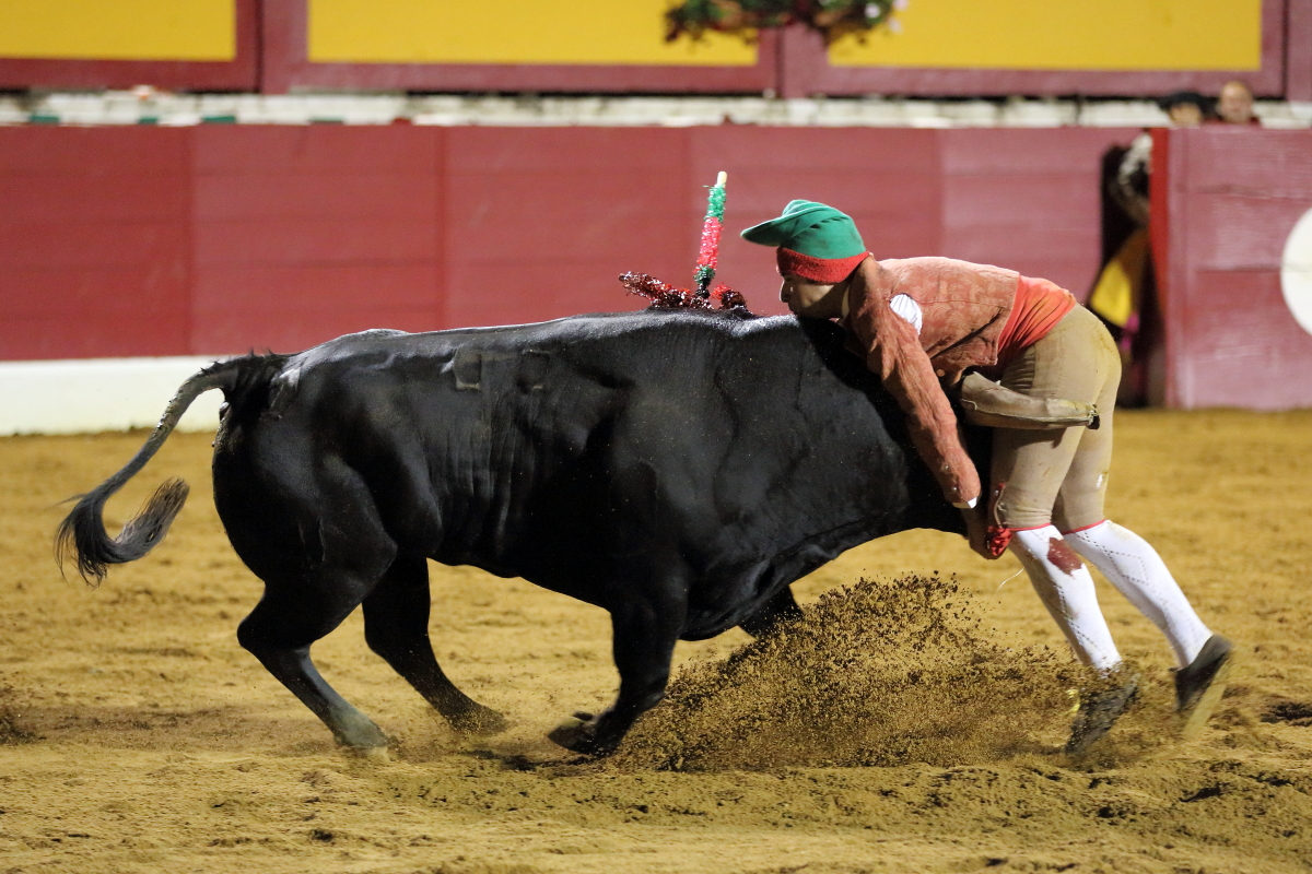 4°toro Luis Roxinol 2014©William LUCAS (10) 2014©William LUCAS