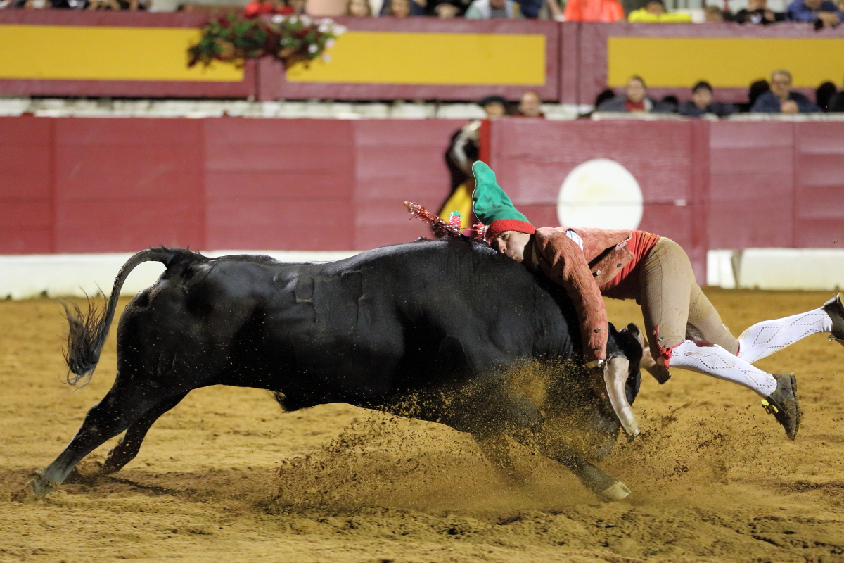 4°toro Luis Roxinol 2014©William LUCAS (11) 2014©William LUCAS
