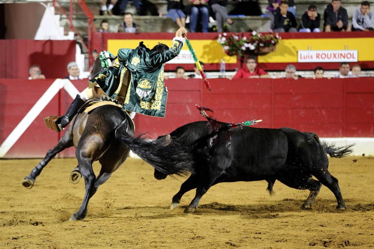 4°toro Luis Roxinol 2014©William LUCAS (2) 2014©William LUCAS