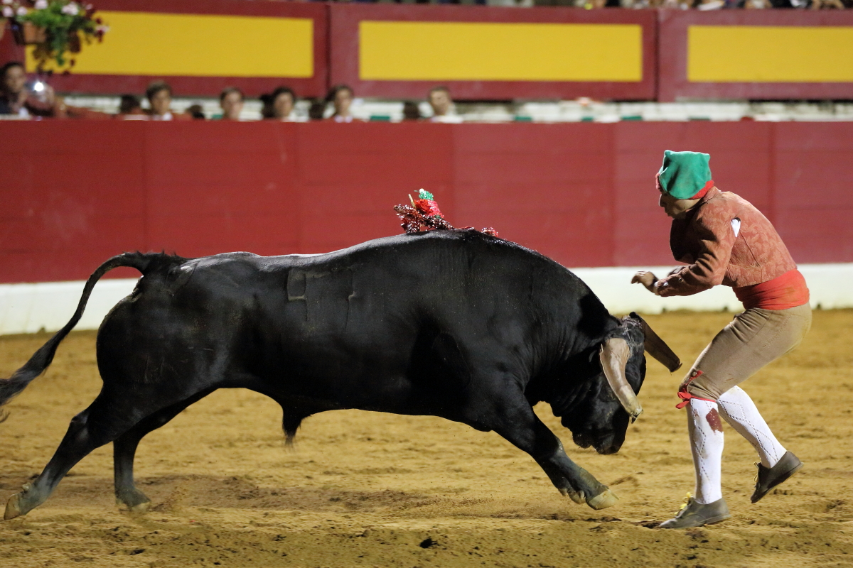 4°toro Luis Roxinol 2014©William LUCAS (9) 2014©William LUCAS