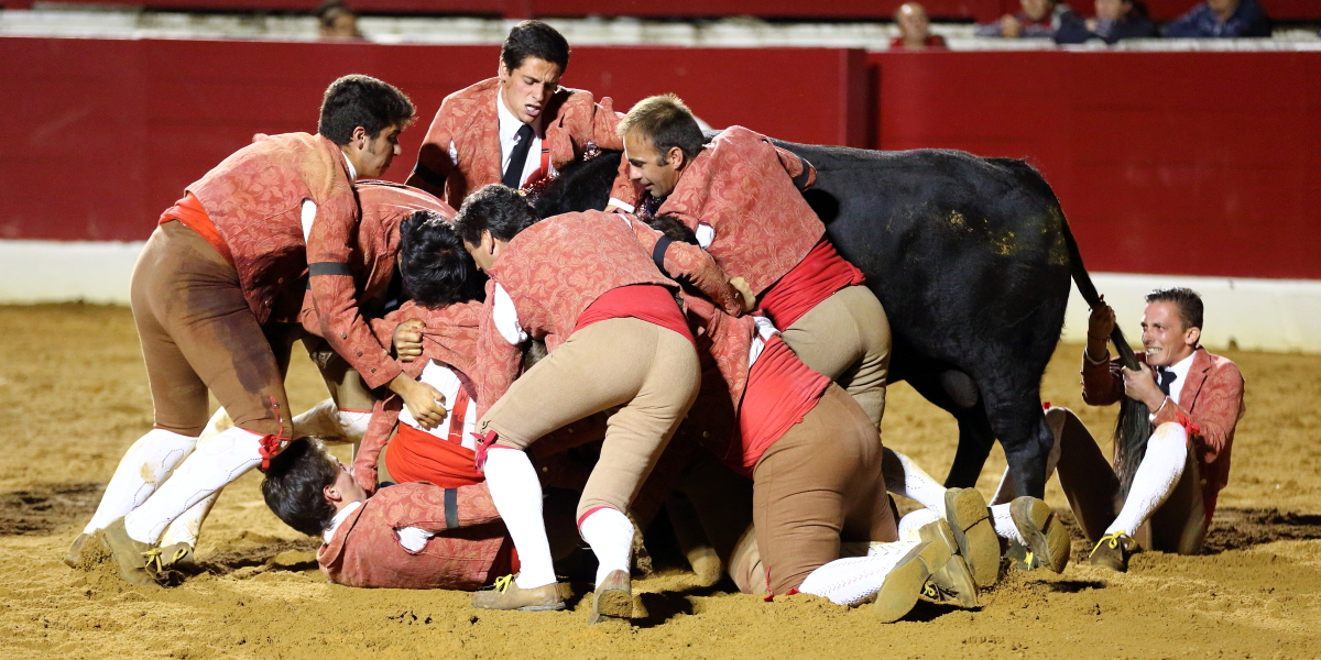 5°toro Filipe Gonçalves 2014©William LUCAS (12) 2014©William LUCAS
