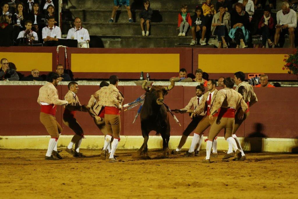 Forcados de CORUCHE