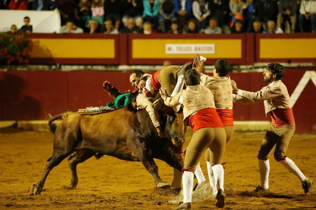 Forcados de CORUCHE