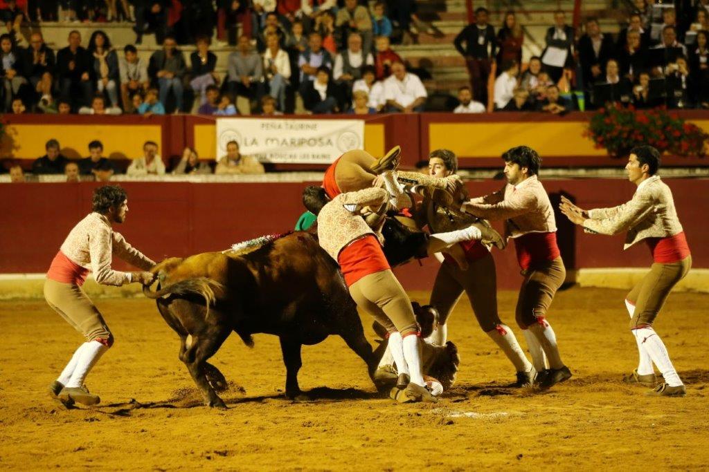 Forcados de CORUCHE