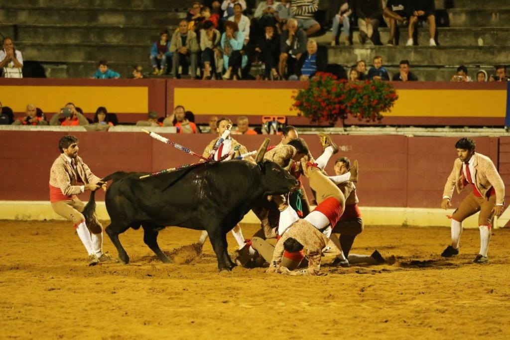 Forcados de CORUCHE