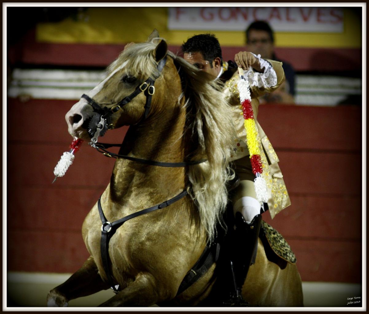 CORIDA_PORTUGAISE_VIEUX_BOUCAU_29_JUILLET_2013_207