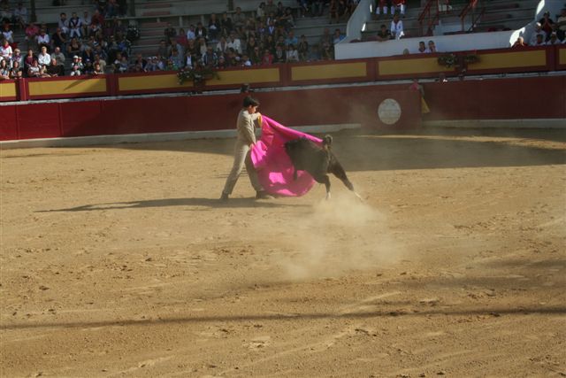 BECERRADA