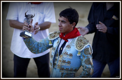 NOVILLADA