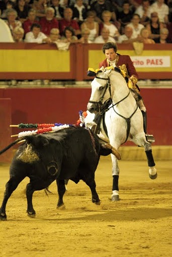 BRITO PAES