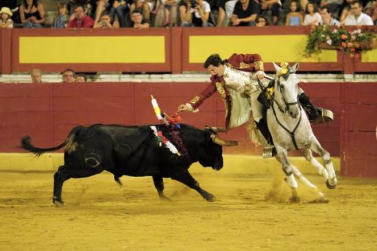BRITO PAES