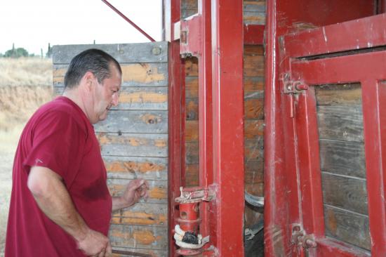 Délicat et dangereux, couvrir avec une toile la partie inférieure de la tête du Toro pour lui cacher la vue et le tranquilliser