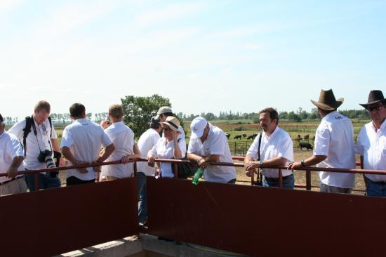 Visite chez VIRGEN MARIA - FERNAY