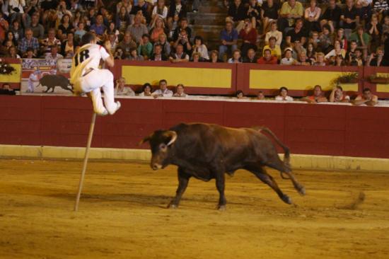 Salto a la garocha !