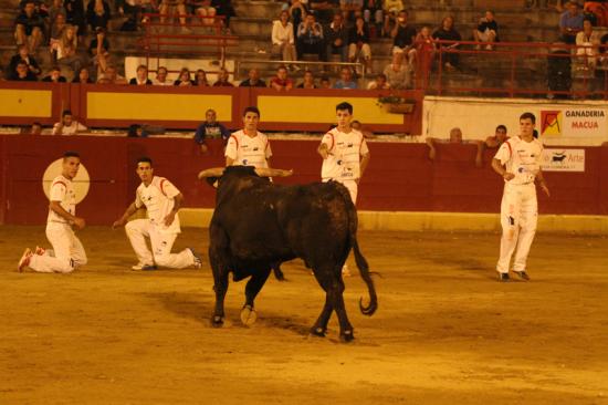 Respect des recortadores au Toro.