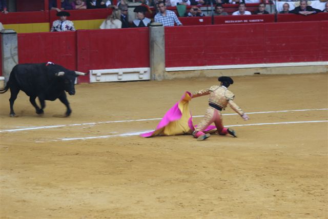 PADILLA A PORTA GAYOLA