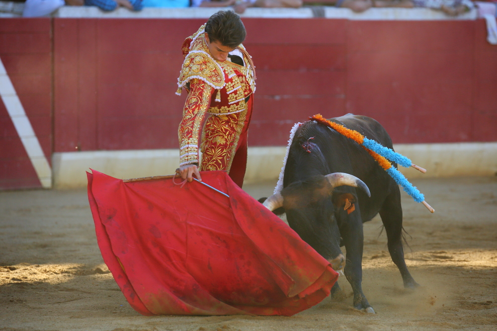 NOVILLADA