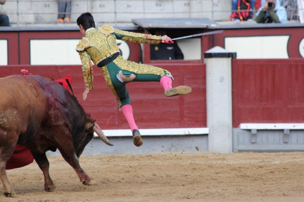 NAVARRETE