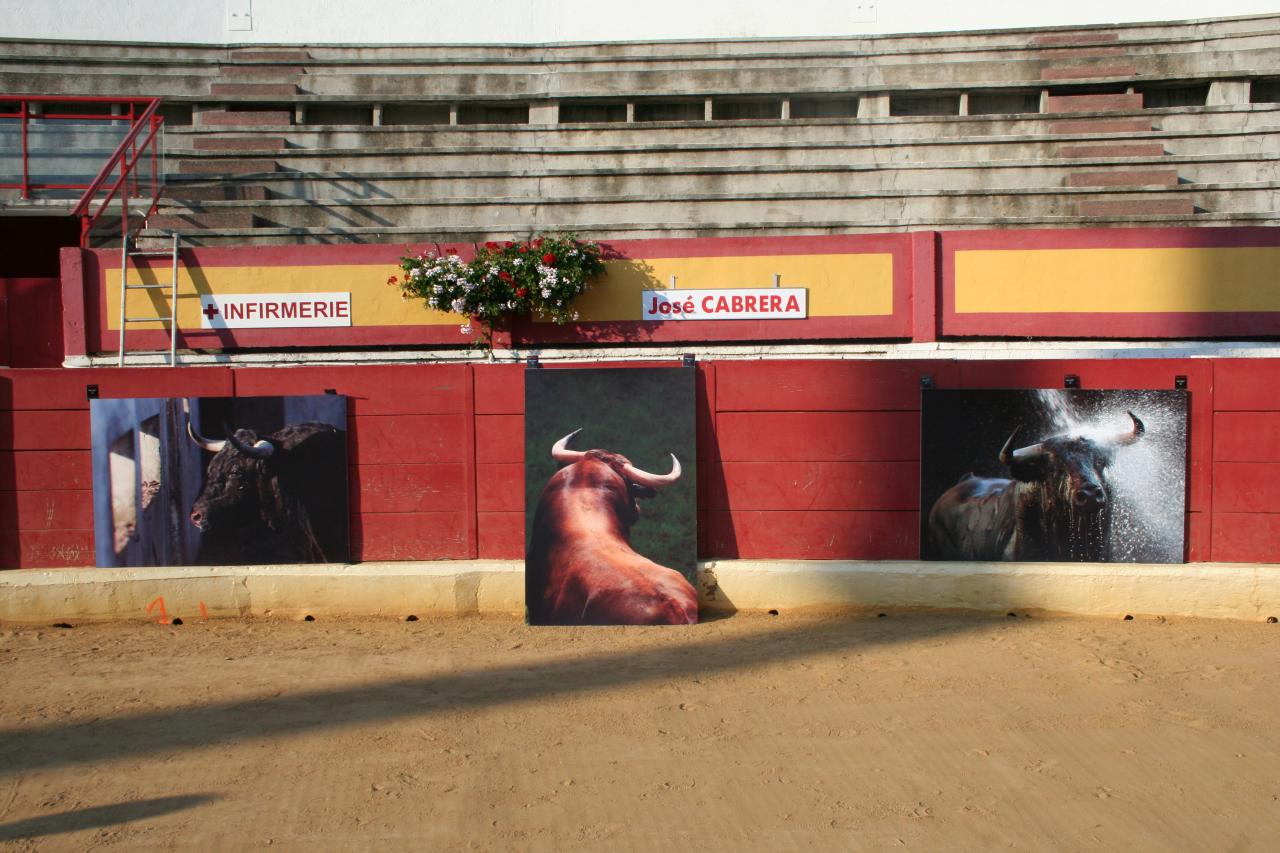 ATELIER DECOUVERTE DE LA CORRIDA