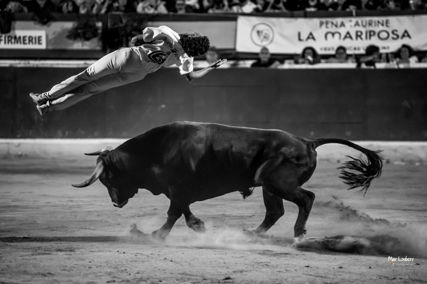 Max LOUBERE