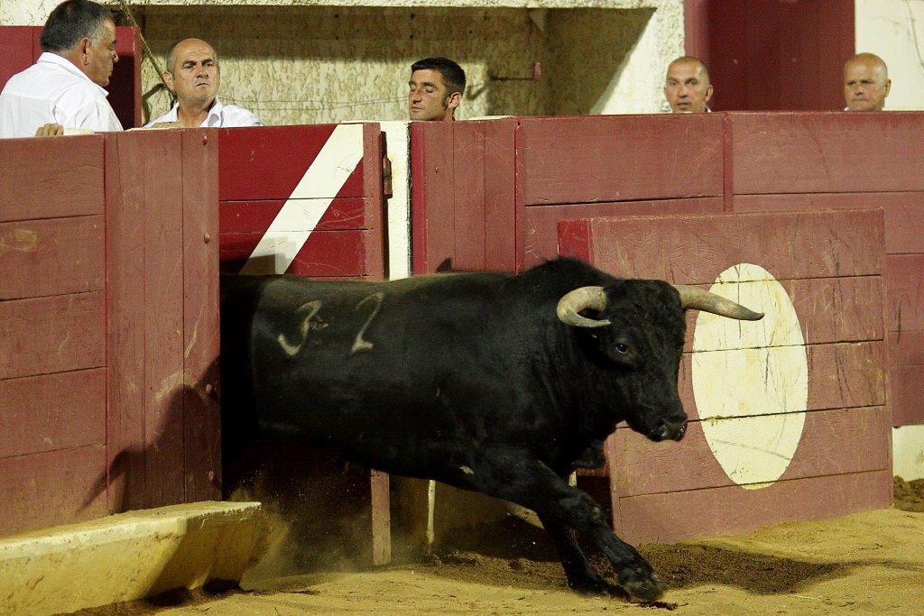 nuitrecorte0022