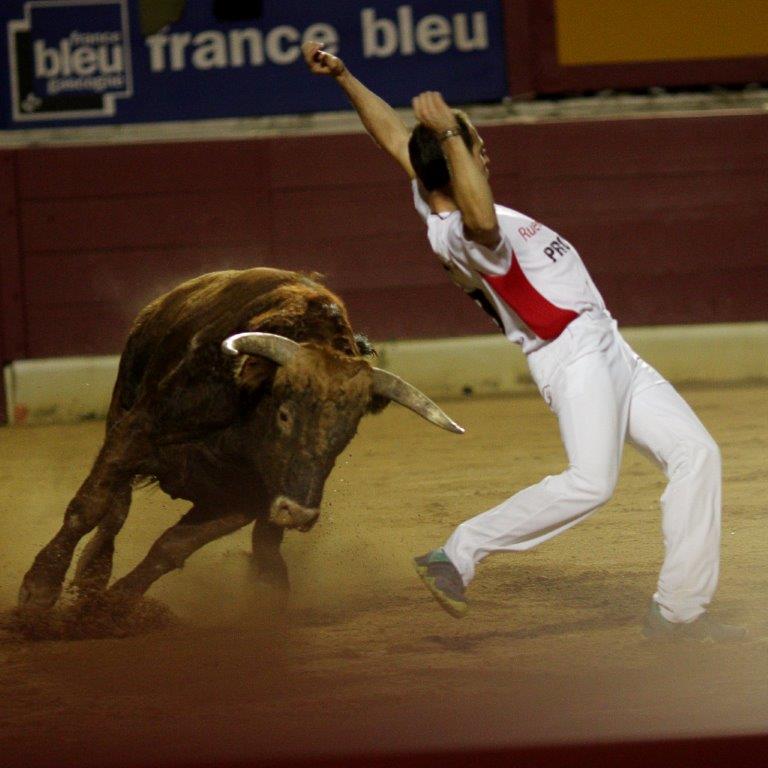 nuitrecorte0042
