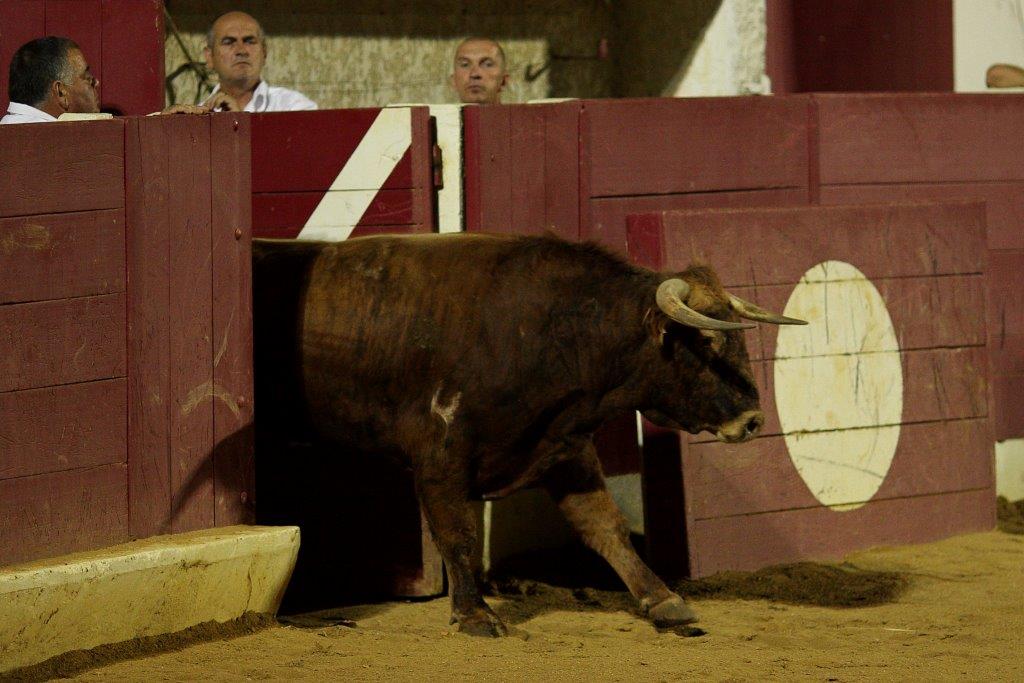 nuitrecorte0047