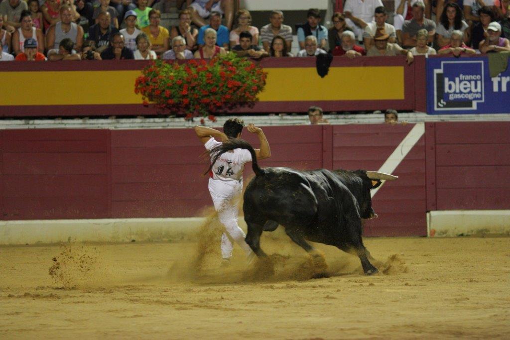 nuitrecorte0071