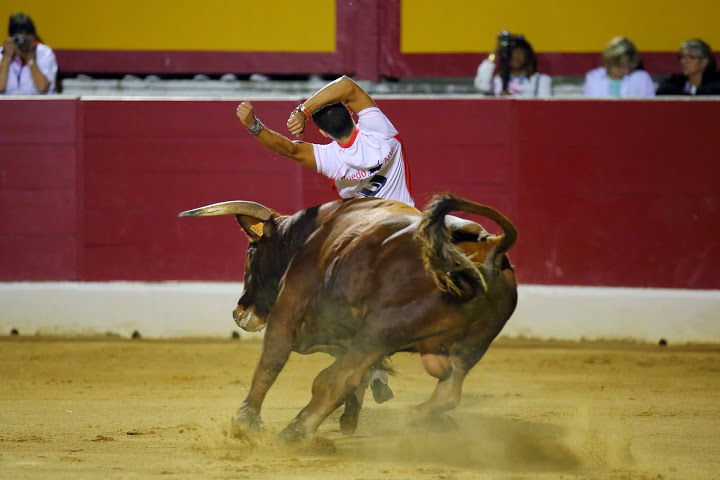 Recortadores Pro Tour Vieux-Boucau 18.08.14 2014©William LUCAS (27)