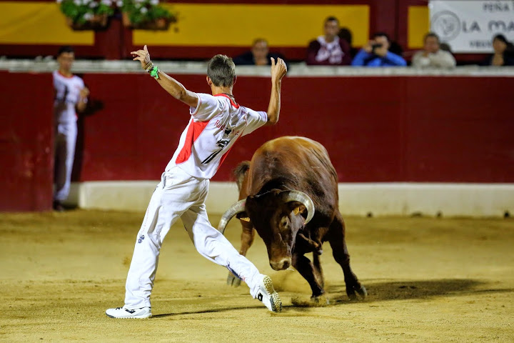 Recortadores Pro Tour Vieux-Boucau 18.08.14 2014©William LUCAS (28)