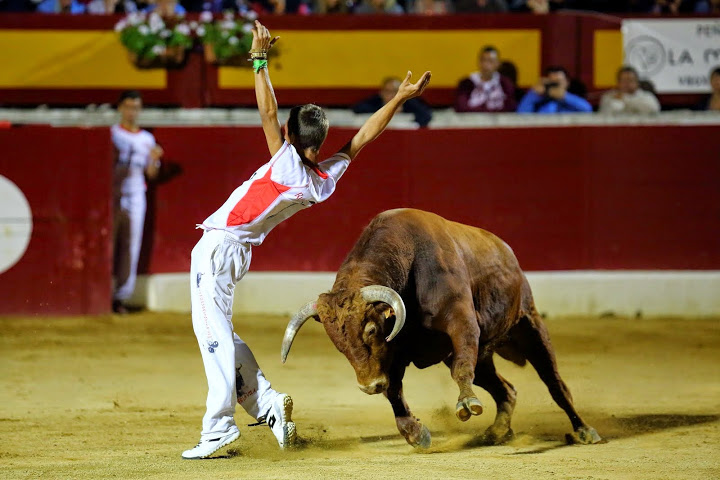 Recortadores Pro Tour Vieux-Boucau 18.08.14 2014©William LUCAS (29)