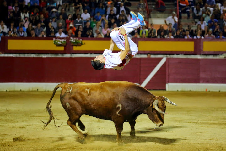 Recortadores Pro Tour Vieux-Boucau 18.08.14 2014©William LUCAS (31)