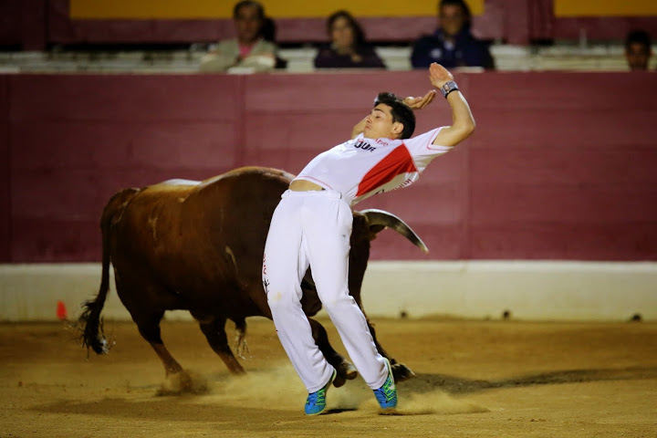 Recortadores Pro Tour Vieux-Boucau 18.08.14 2014©William LUCAS (34)