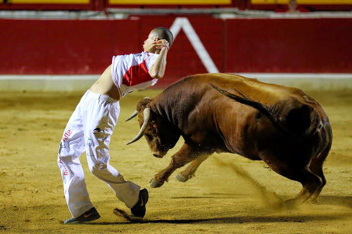 Recortadores Pro Tour Vieux-Boucau 18.08.14 2014©William LUCAS (36)