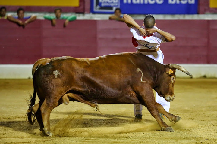 Recortadores Pro Tour Vieux-Boucau 18.08.14 2014©William LUCAS (40)