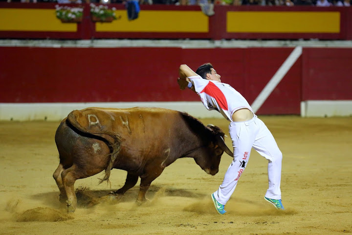 Recortadores Pro Tour Vieux-Boucau 18.08.14 2014©William LUCAS (42)