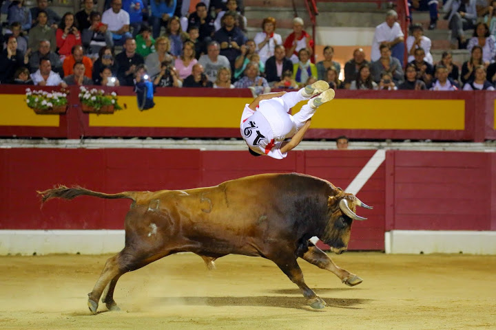 Recortadores Pro Tour Vieux-Boucau 18.08.14 2014©William LUCAS (45)