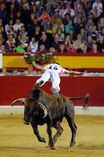 Recortadores Pro Tour Vieux-Boucau 18.08.14 2014©William LUCAS (48)