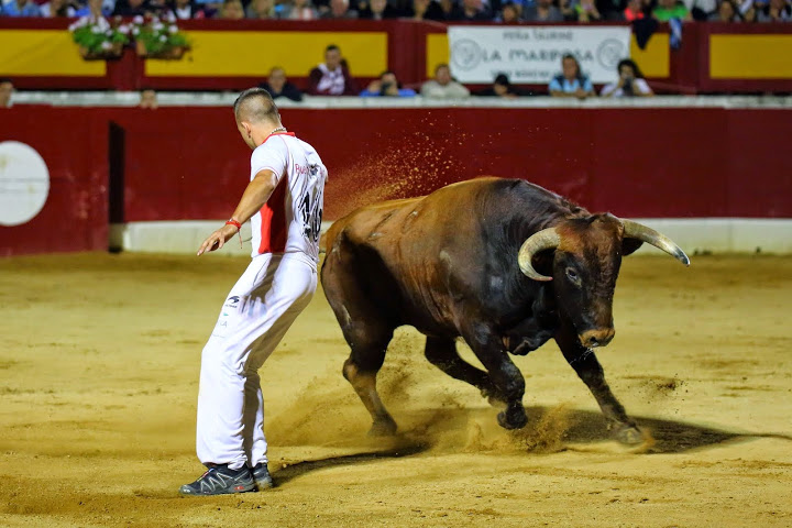 Recortadores Pro Tour Vieux-Boucau 18.08.14 2014©William LUCAS (51)