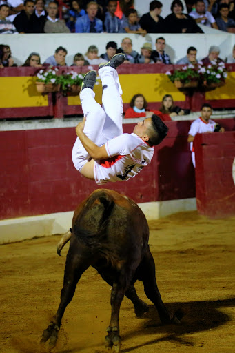 Recortadores Pro Tour Vieux-Boucau 18.08.14 2014©William LUCAS (52)