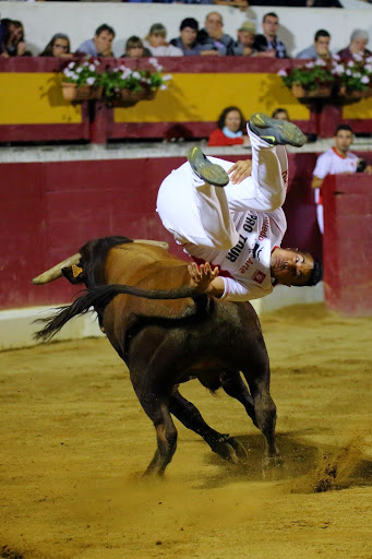Recortadores Pro Tour Vieux-Boucau 18.08.14 2014©William LUCAS (53)