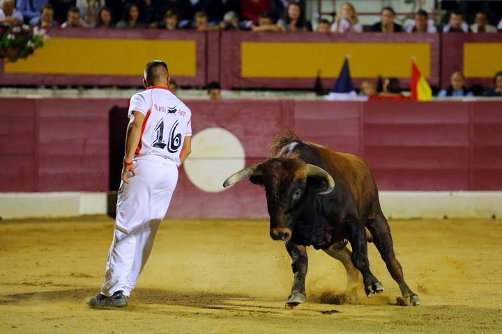 Recortadores Pro Tour Vieux-Boucau 18.08.14 2014©William LUCAS (55)
