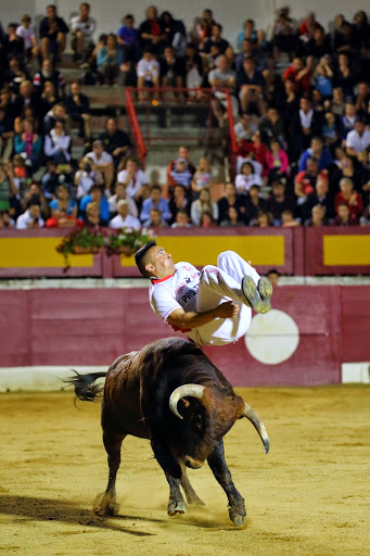 Recortadores Pro Tour Vieux-Boucau 18.08.14 2014©William LUCAS (56)